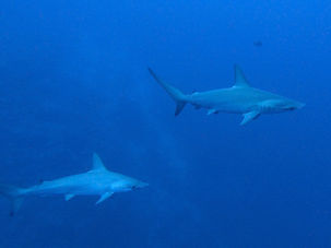 Our Egypt trip 2022 - B-D-E Tour