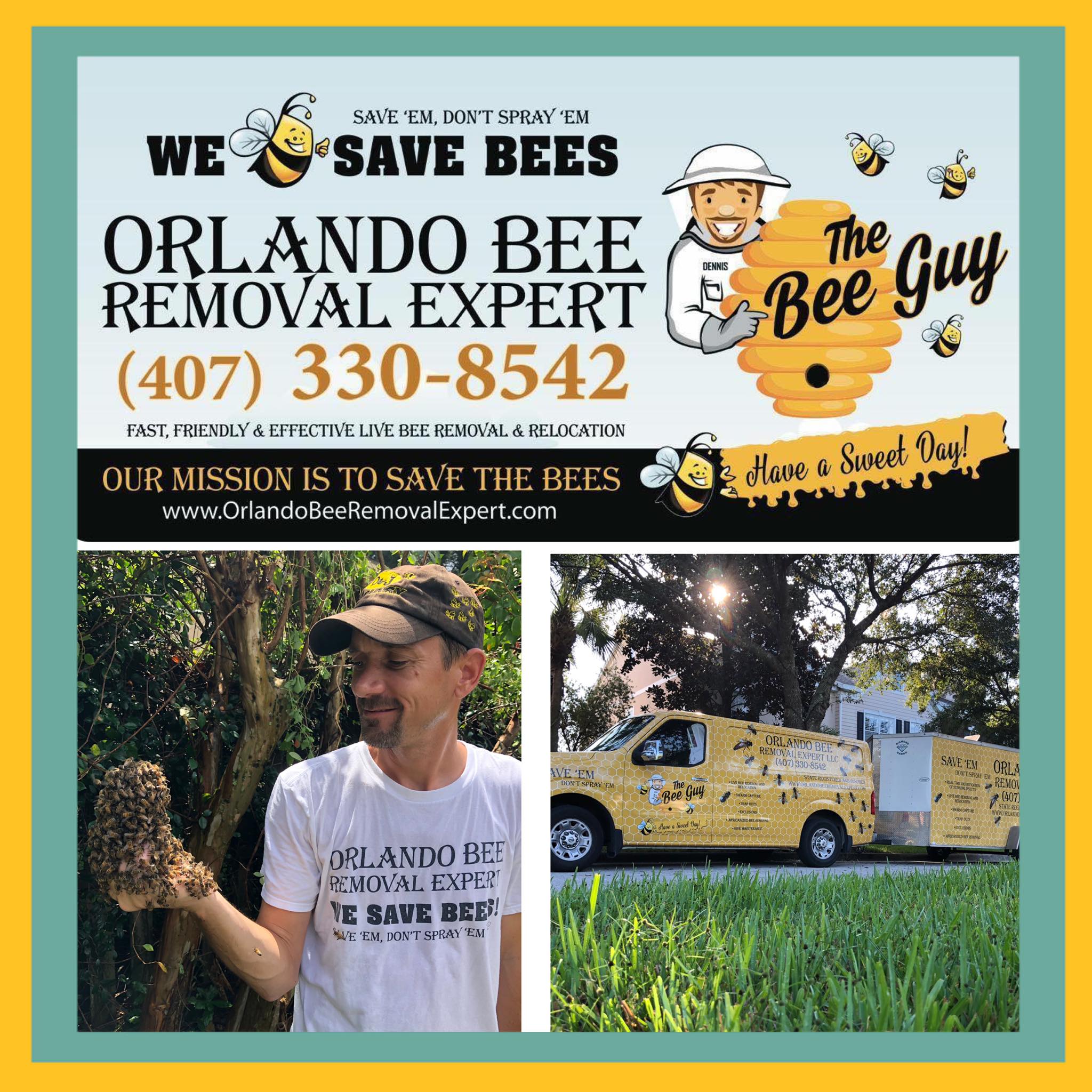 Orlando Bee Removal Expert LLC