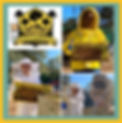 246059493_4219445728177717_8750343076883107126_n - Copy.jpg