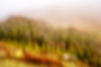 An ICM photo
