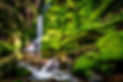 Hidden waterfall in Dartmoor National Park, Devon, showcasing the beauty of natural landscapes and opportunities for photography training in Devon