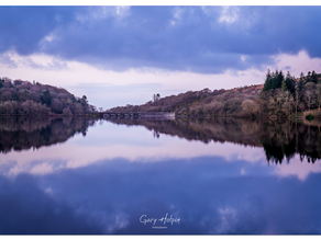 Five Easy Steps to Better Photos: A Simple Weekend Project for Beginners