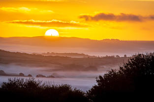 A beautiful foggy sunrise over Bridport with the Hard Monument silhouetted against the rising sun, by Devon photographer, Gary Holpin Photography