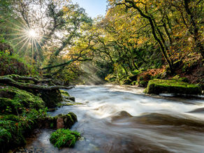 Five amazing Dartmoor locations for autumn colour