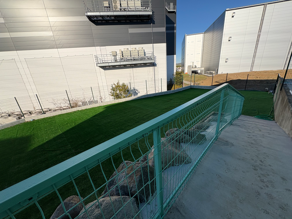 Artificial turf patch with a fence and buildings