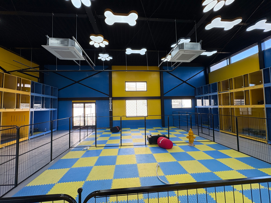 Clean and modern dog boarding facility with secure enclosures in Japan