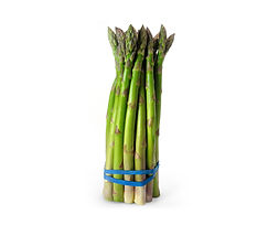 asparagi demetra