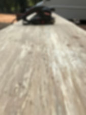 IMG_3100.jpeg
