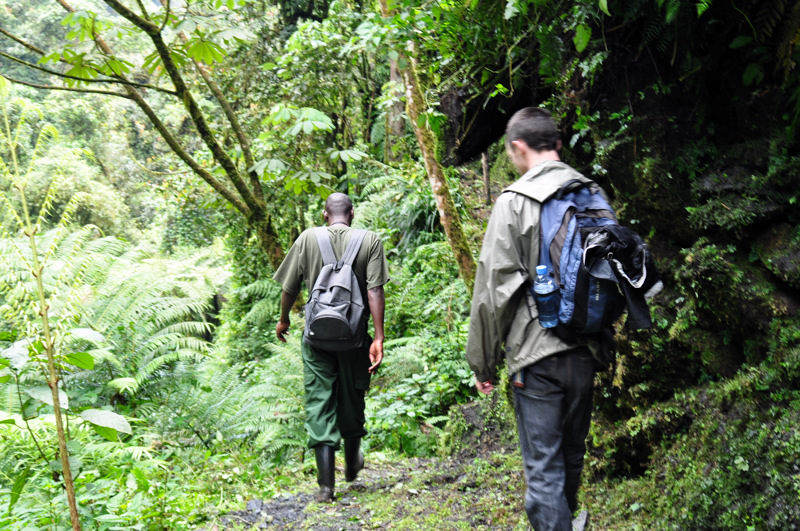 Nyungwe Forest, Rwanda