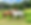 horses-currumbin-valley-rides_edited.png