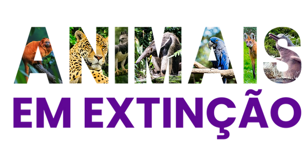 Banner para Mercado Shops promoção de lançamento loja moderno e roxo (1080 x 578 px) (1).p