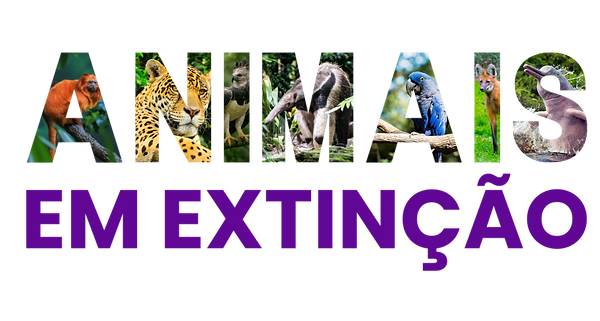 Banner para Mercado Shops promoção de lançamento loja moderno e roxo (1080 x 578 px) (1).p