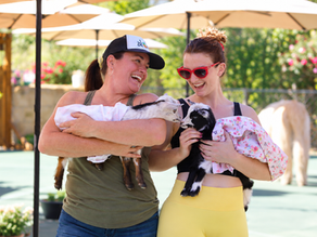 Bring a Friend to Goat Yoga — Their Ticket Is 50% Off