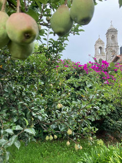 Villa Centro 3