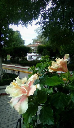 Villa del Carbón Centro