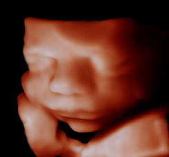 3D scan_edited.jpg