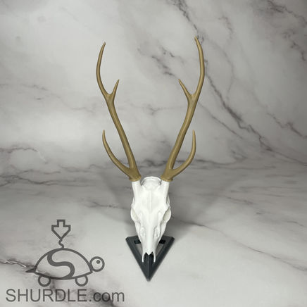 This is a great size Axis buck European mount to fit on your desk and can hold business cards or just sit pretty. Single or multi-color. plastic mounted deer skull