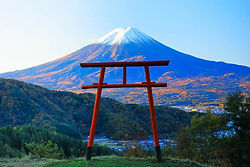 spot-yamanashi-asamajinja.jpg