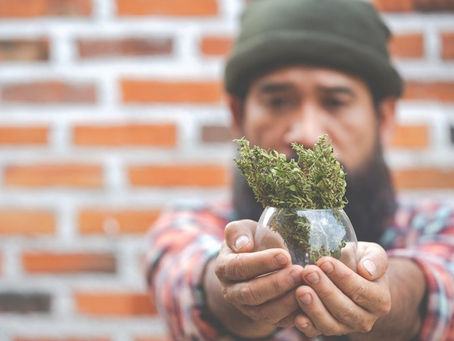 weed delivery 24 hours