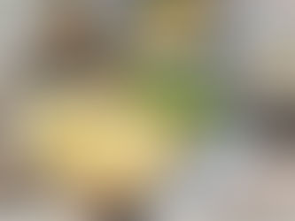 best brunch in Plantation