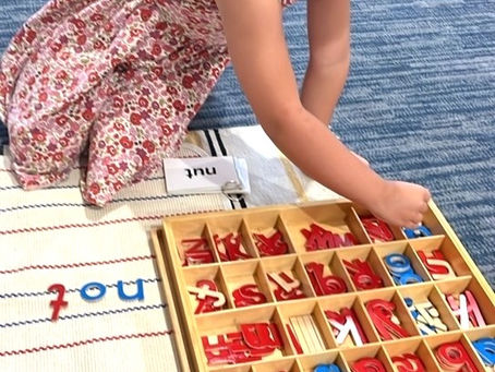 Looking for Schools Near You? What Should You Know About Kingwood Montessori’s Toddler Program?