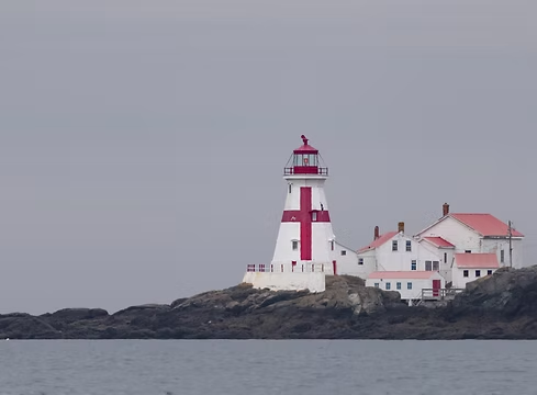 How Can Lighthouse Boat Tours Make Coastal Sightseeing More Personal?