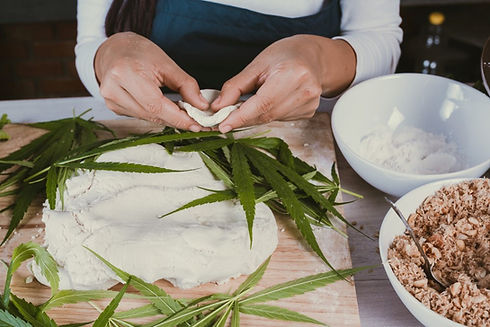 Cannabis plants in DC.jpg