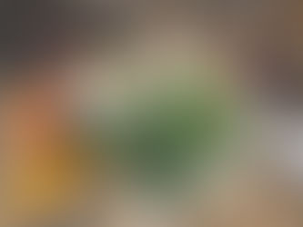 preschool in Kingwood