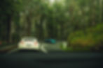DSC00384.jpg