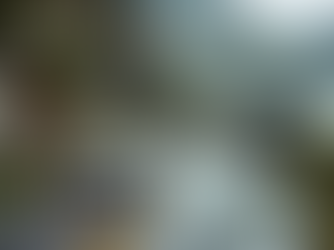 Thunderbolt Run Joins the Epic Comeback: Targa Tasmania 2025
