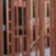 Doug Fir 4.jpg