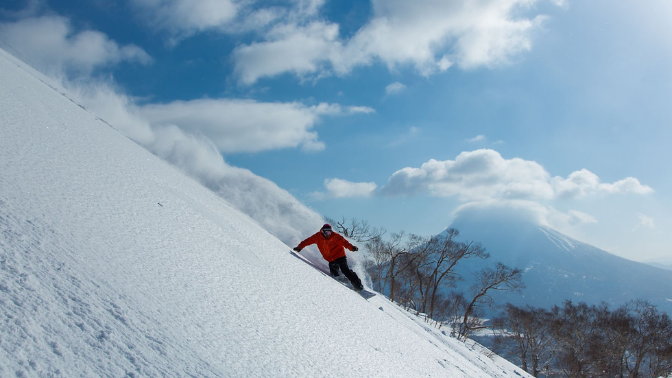 Ski Safari