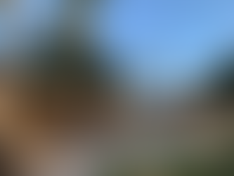 Bleu MATHIS Gili Asahan