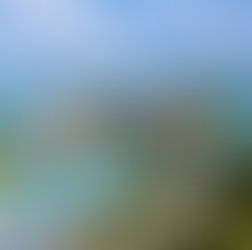 Meliá Whale Lagoon Maldives