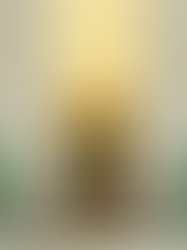 Mandarin Oriental, Singapore