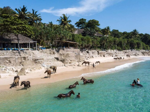 NIHI Sumba