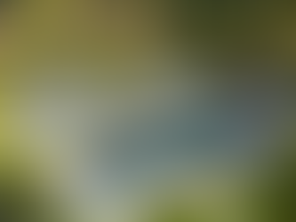 Legacy Mekong, Can Tho, Autograph Collection