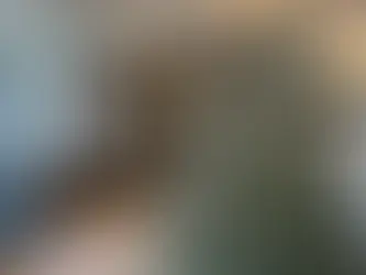 Blackpool’s Pleasure Beach Resort