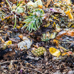 A pile of food waste in the Earthflow industrial composting machine