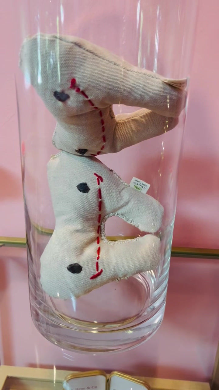 Thumbnail: Canvas Tooth Fairy Pillow
