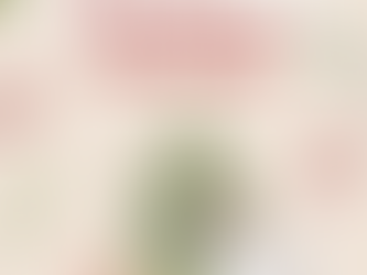 Dog Christmas Gift Guide 2025