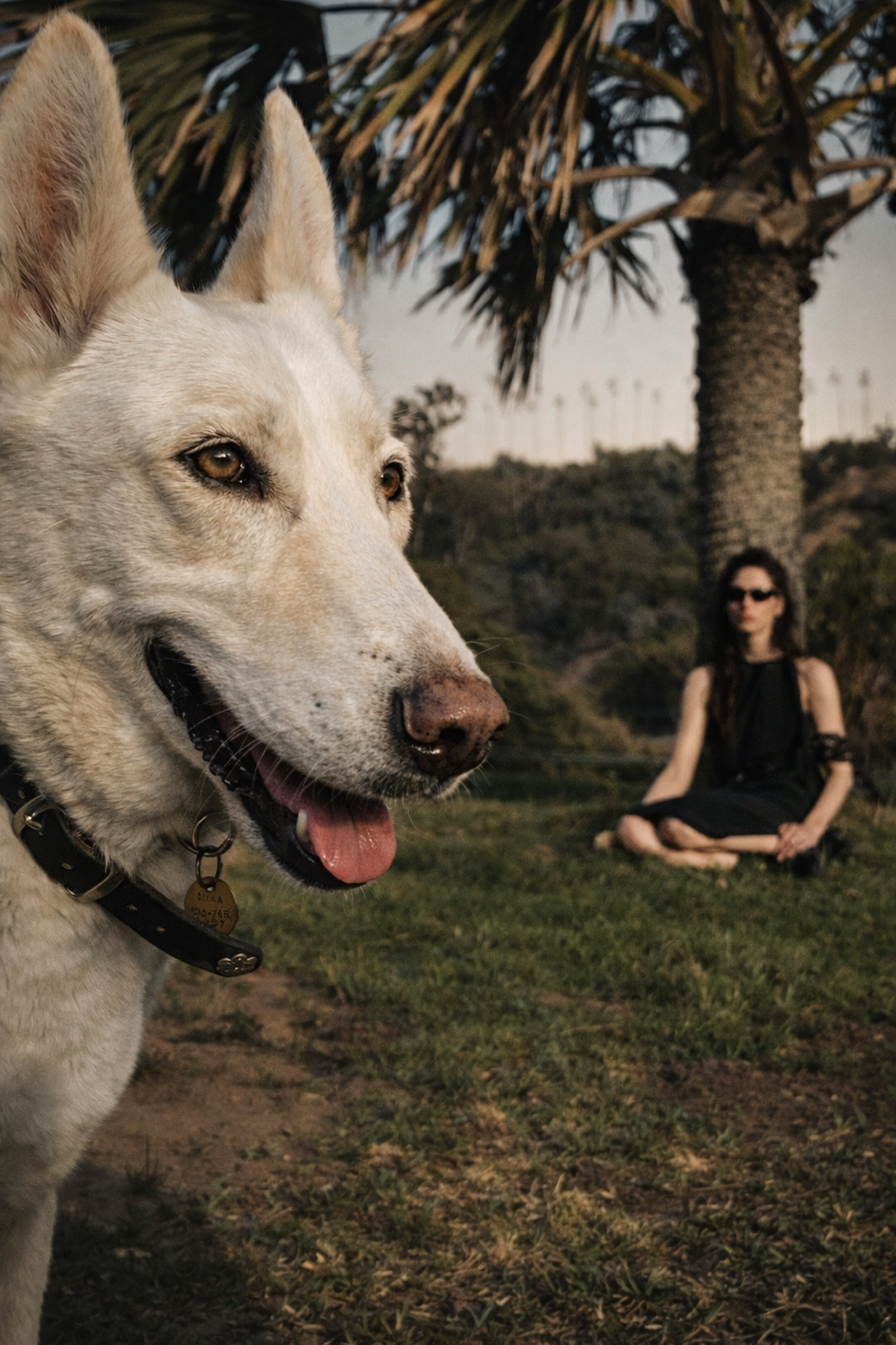 Elysian Park - lifestyle shot