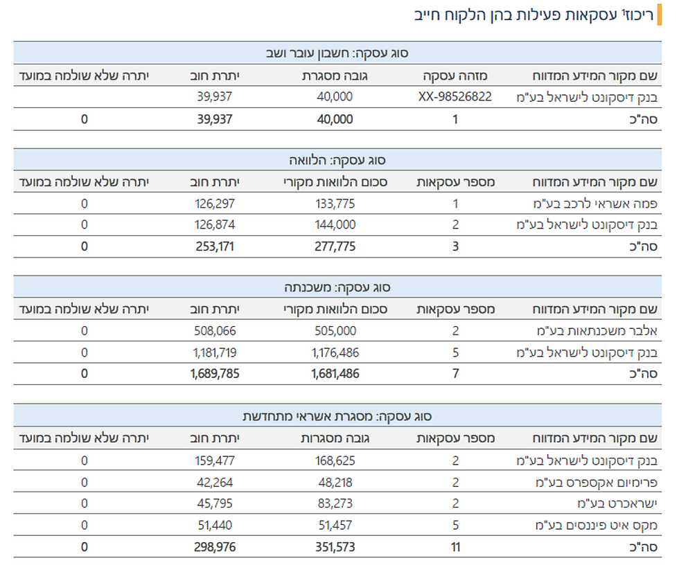 דוח נתוני אשראי - ניתוח נתונים - רביב יזמות