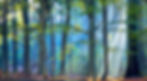 the-enchanted-forest.jpg