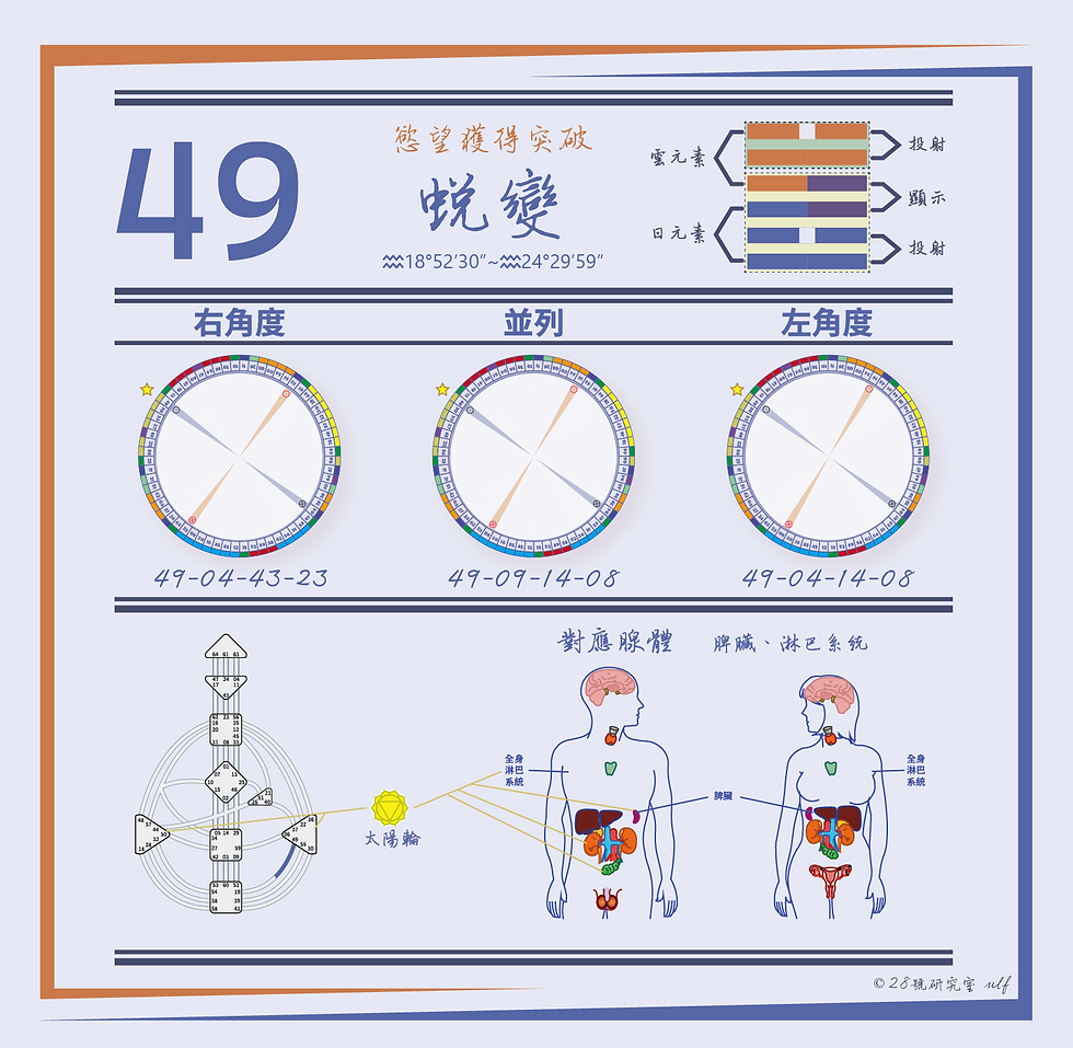 閘門49資訊圖