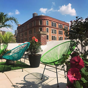 Roof Top Plantings