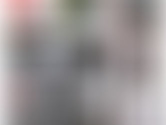 DIFERENTES USOS DE PERSIANAS