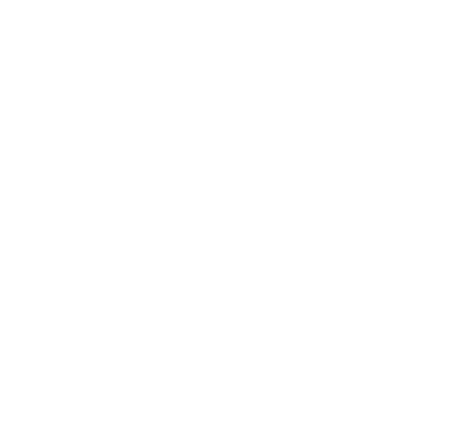 ulzama logo.png