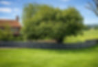 ChatGPT Image Feb 16, 2026, 03_07_54 PM_edited.jpg