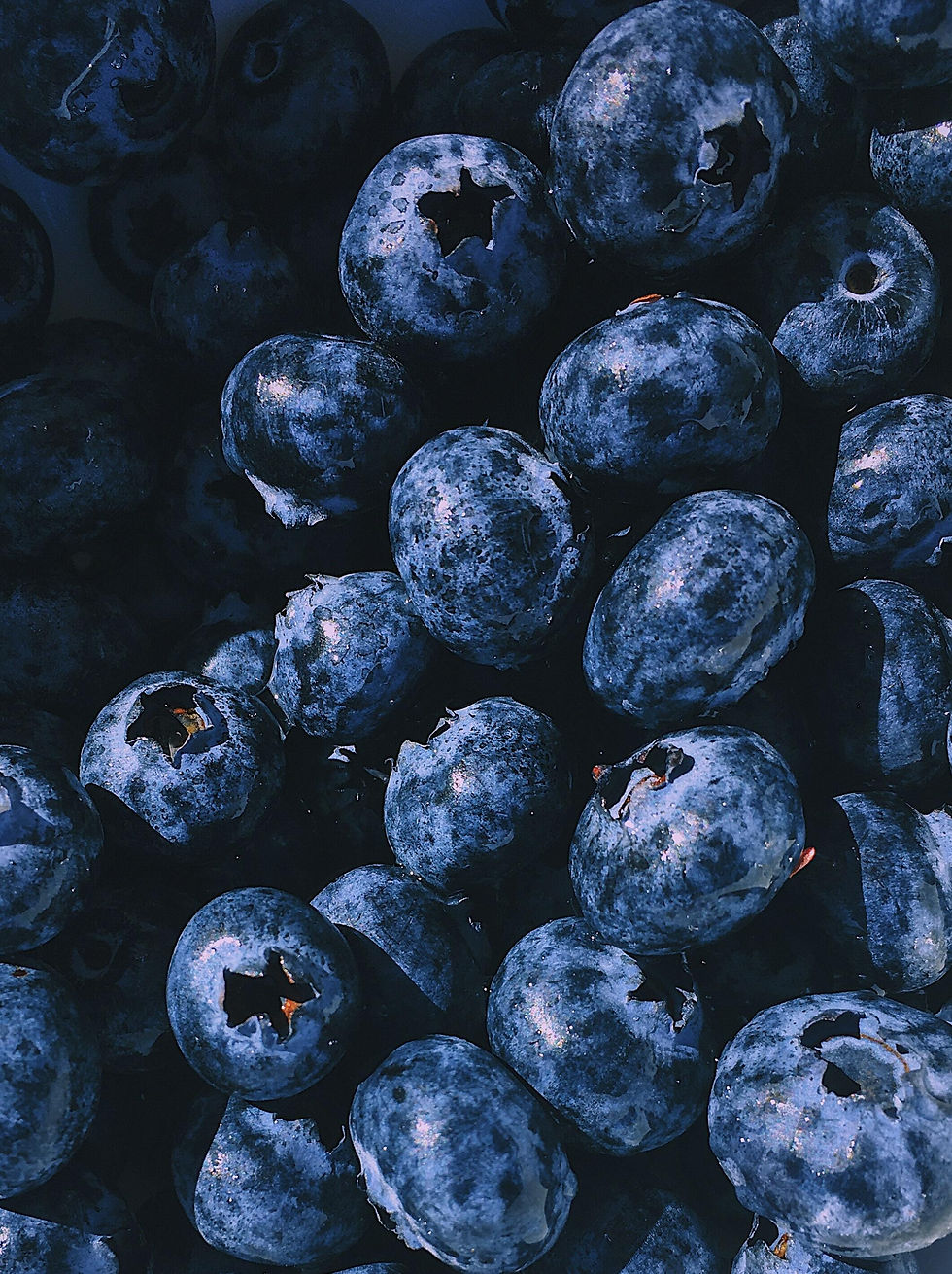 Tub  Blueberries